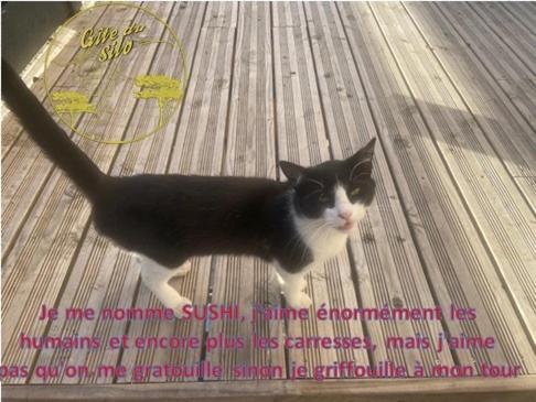 Gite Du Silo Epi De Mais Piscine Et Spa Toucy ภายนอก รูปภาพ